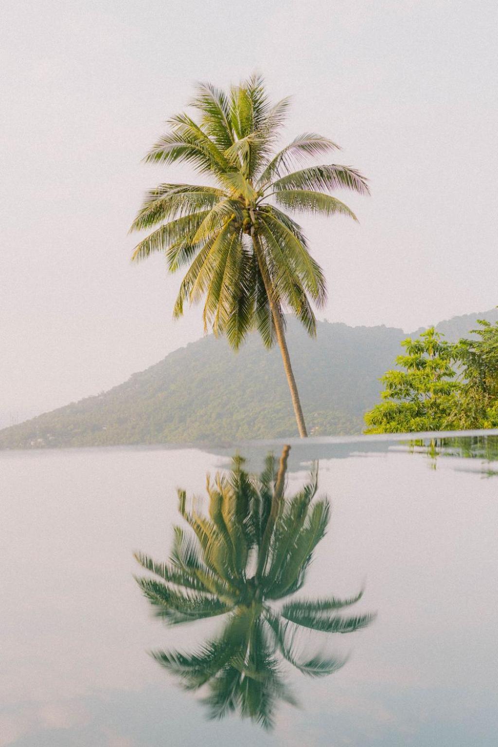 Perfect View Pool Villa Ko Tao Ngoại thất bức ảnh